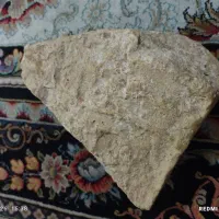 اثرانگشت انسان برروآجردوره ساسانی