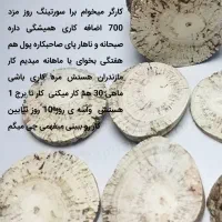 نگین انگشتر|جواهرات|زابل, |دیوار