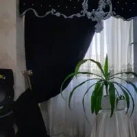 پرده و کنار پرده