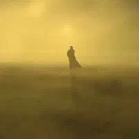 راهنمایی کنید