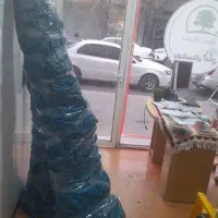 نهال گردو ژنو نهالستان آغاج|گل و گیاه طبیعی|میاندوآب, |دیوار