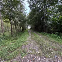 ۲۹۸متر زمین مسکونی (سند تک برگ )|فروش زمین و ملک کلنگی|لاهیجان, لفمجان|دیوار