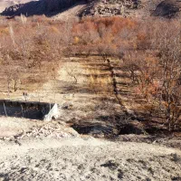 زمین کشاورزی|فروش زمین و ملک کلنگی|اسفراین, |دیوار