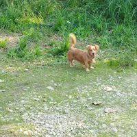 واگذاری   فندوق خوشکل و باهوش و با ادب