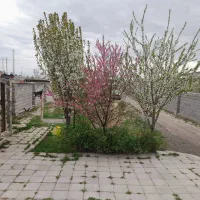 خانه ویلایی ۸۰۰ متری|فروش خانه و ویلا|هیر, |دیوار