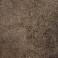 فرش هندی پرز بلند کاملن نو|فرش|ماهدشت, |دیوار