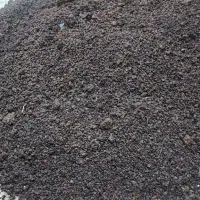 کشمش ابگیری|خوردنی و آشامیدنی|تبریز, |دیوار