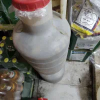 خیارشور محلی