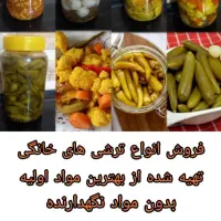 انواع ترشی
