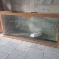 آکواریوم طول 104 عرض 40 ارتفاع 47|ماهی|قزوین, |دیوار