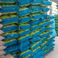 * p FIDAR|لوازم جانبی حیوانات|مشهد, گلبرگ|دیوار