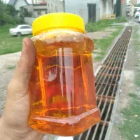 عسل طبیعی بار جدید کیلویی ۶۰۰ تومن