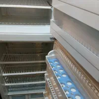 یخچال وفریزرسرهمی نکسون|یخچال و فریزر|قم, نخودی|دیوار