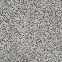 ۵ تن جو سفید محلی منی ۱۸۰