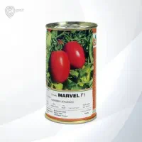 بذر گوجه مارول f1|خدمات باغبانی و درختکاری|حمیدیه, |دیوار