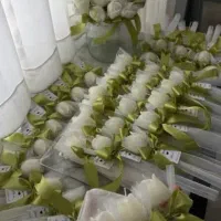 گیفت|صنایع دستی و سایر لوازم تزئینی|نیشابور, بنیاد شهید|دیوار