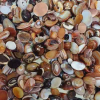 عقیق سه پوست رنگی|جواهرات|مشهد, ده دی|دیوار