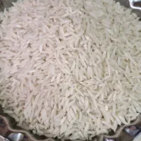 برنج طارم هاشمی