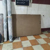 چوب نوپان