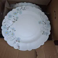 ارکوپال ۲۵ پارچ