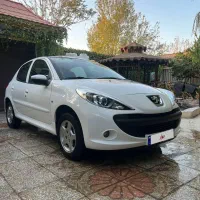 ۲۰۷ پانا مدل ۴۰۳