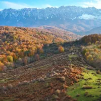 4 هکتار وسط جنگل،زیباترین منظره ایران *سندتک برگ*