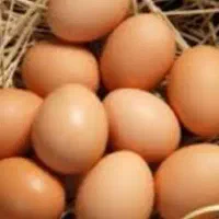 سلام تخم مرغ محلی