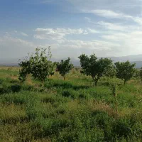 باغ|فروش زمین و ملک کلنگی|ماکو, |دیوار