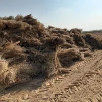 جاروی فراشی عمده|خدمات نظافت|حبیب آباد, |دیوار