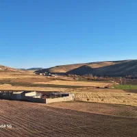 اجاره و یافروش گاوداری صنعتی50 راسی