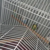 مرغ عشق با قفس