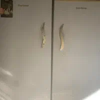 فروش فوری فریزر برند بردنا