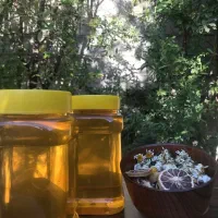عسل خالص و طبیعی