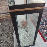 آکواریوم ماهی وآبزیان|ماهی|پارس‌آباد, |دیوار