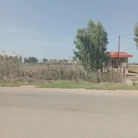 زمین کنار جاده ای ۲۱۷۴ متری جاده ساری جویبار