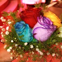 اپیلاسیون تخصصی