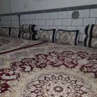 روپشتی در حد نو