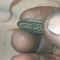 یک سکه قدیمی وزیبا|کلکسیون سکه، تمبر، اسکناس|جوکار, |دیوار