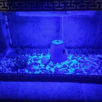 آکواریوم زیبا با لوازم کامل