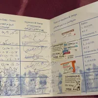 فروش سگ نر ژرمن شولاین اصیل یک ساله|سگ|نجف‌آباد, شهرک صنعتی نجف آباد|دیوار