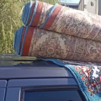 تعدادی فرش 12متری و 6و 9متری  قیمت خوب