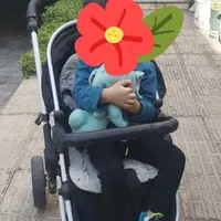 کالسکه مدل روما دلیجان|کالسکه و لوازم جانبی|تهران, آذری|دیوار