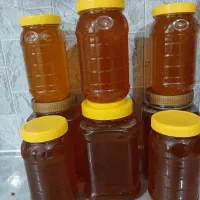 عسل طبیعی میگشت