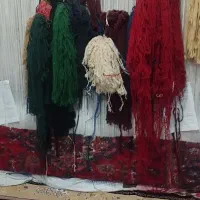 فرش هریس تاجری