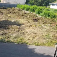 فروش زمین در شهرک با اصالت چسبیده ب نمک آبرود|فروش زمین و ملک کلنگی|هچیرود, |دیوار