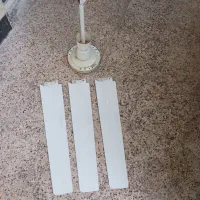 پنکه سانی