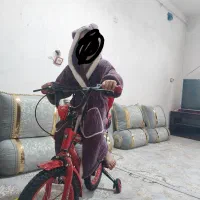 گم شدن دوچرخه