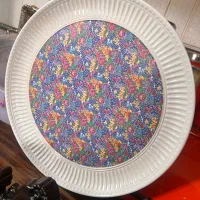 دیس ملامین پلوپزی