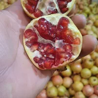 انار عمده .