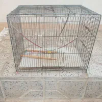 قفس